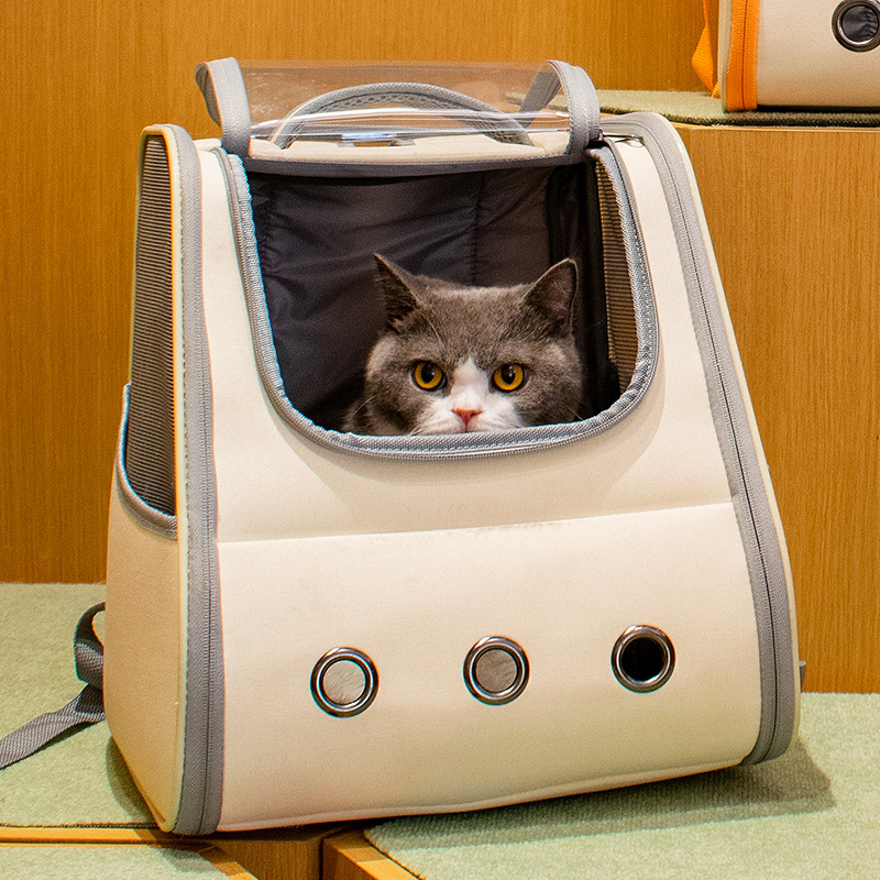 cat carrier